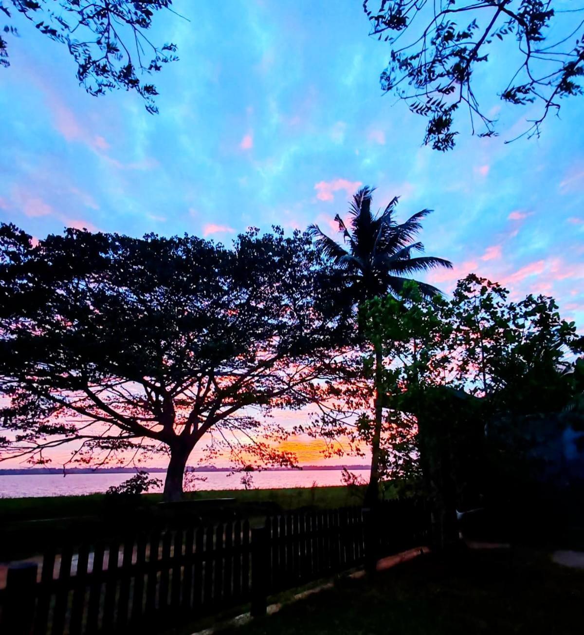 Art Yala Boutique Resort Tissamaharama Exterior photo