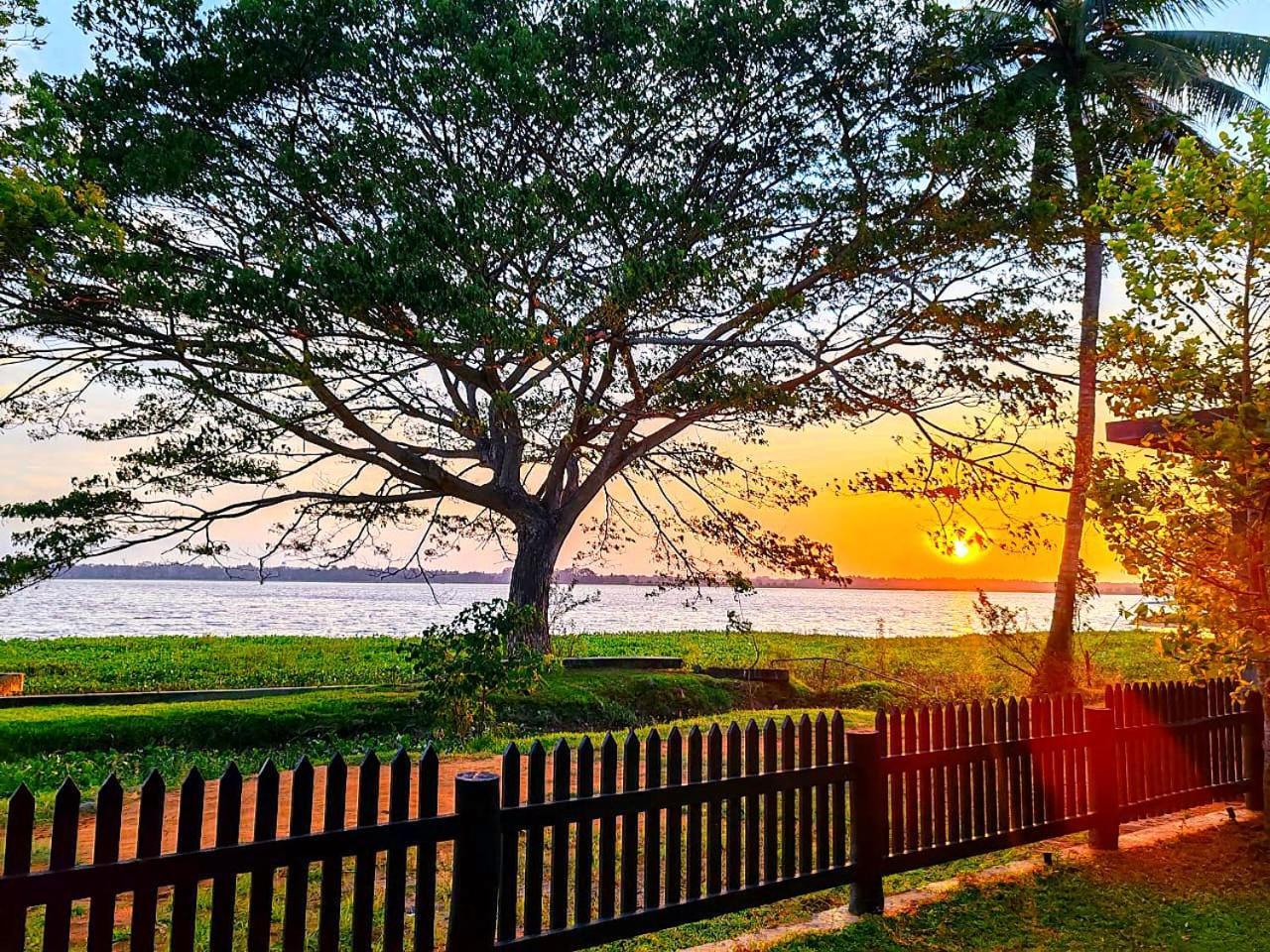 Art Yala Boutique Resort Tissamaharama Exterior photo