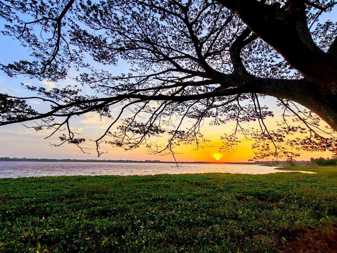 Art Yala Boutique Resort Tissamaharama Exterior photo